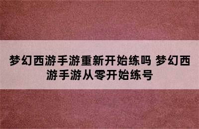 梦幻西游手游重新开始练吗 梦幻西游手游从零开始练号